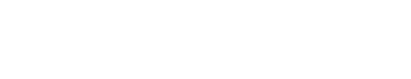 Dr Dennis Gross logo